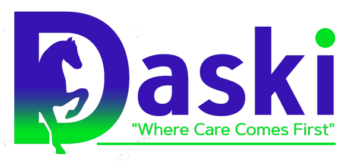 Daski Web Logo