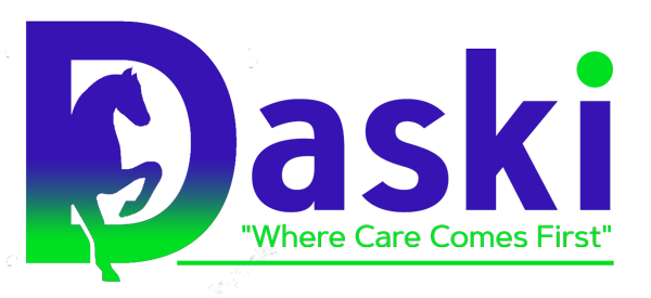 Daski Web Logo